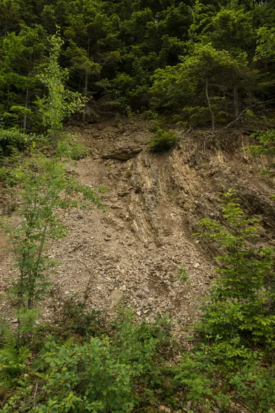 Detalhe Camadas Carpathian Flysch Visível Montanhas Bieszczady Polônia — Fotografia de Stock