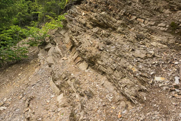 Detalhe Camadas Carpathian Flysch Visível Montanhas Bieszczady Polônia — Fotografia de Stock