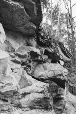 Gebury 'deki taş duvar Polonya' da terk edilmiş kumtaşı ocağı
