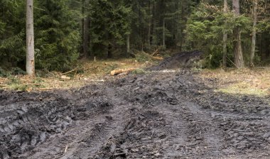 Islak zemin ve ormanın içinde ağır makineler var.