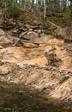 Ormanın içinde yerde yaprakları olan küçük bir göl.