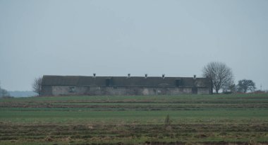 Tarlanın ortasında eski bir tavuk çiftliği.