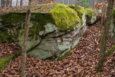 Polonya 'da sonbahar mevsiminde bir ormanın içinde yapraklarla kaplı kumtaşı şekilli manzara