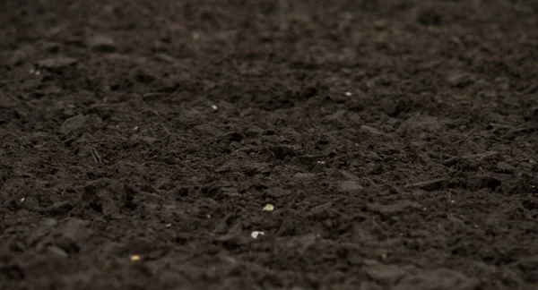 Detail Empty Wet Field Early Spring — Stock Photo, Image