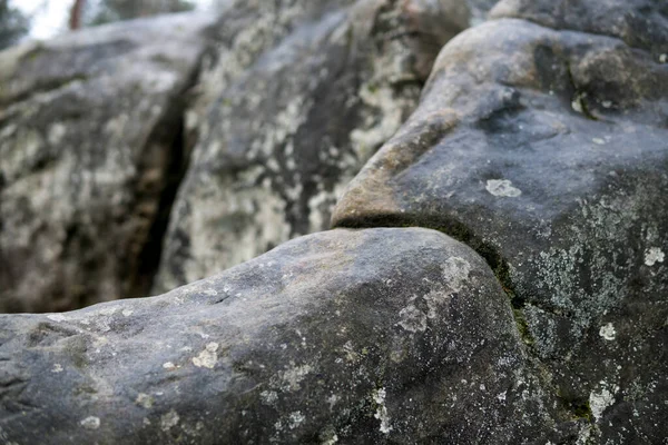 Close Sandstone Rocks Covered Green Moss Lichens Fall Season — Stock Photo, Image