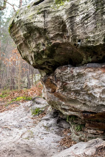 Formazione Funghi Rocciosi Arenarie Ricoperte Muschio Verde Mezzo Alla Foresta — Foto Stock