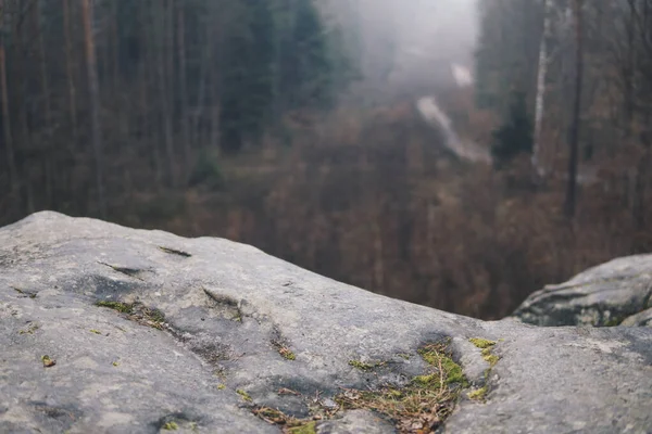 Paysage Avec Vue Depuis Une Colline Sur Une Forêt Pendant — Photo