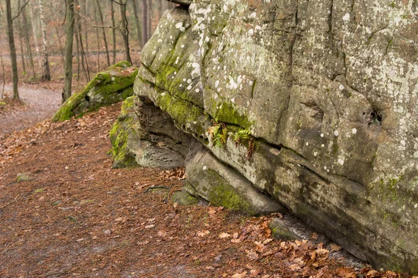 Landscape Sandstone Rock Formation Covered Leaves Forest Fall Season Poland — Stock Photo, Image