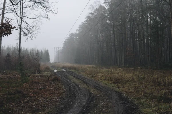 Camino Terrestre Líneas Eléctricas Que Atraviesan Bosque Día Nublado Durante —  Fotos de Stock