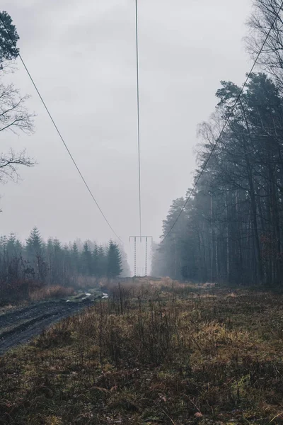 Camino Terrestre Líneas Eléctricas Que Atraviesan Bosque Día Nublado Durante —  Fotos de Stock