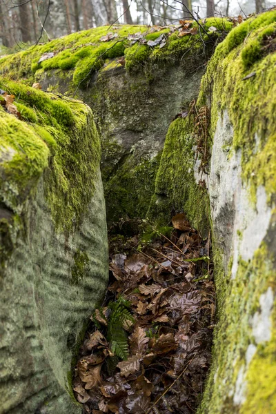 Gros Plan Rochers Grès Recouverts Mousse Verte Lichens Pendant Saison — Photo