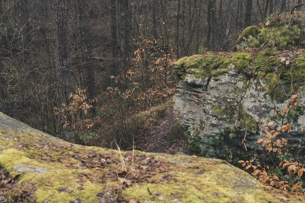 Paysage Avec Formation Grès Rocheux Recouvert Feuilles Intérieur Une Forêt — Photo