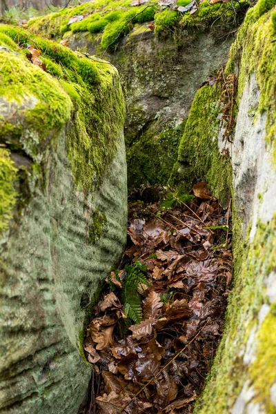 Close Sandstone Rocks Covered Green Moss Lichens Fall Season — Stock Photo, Image