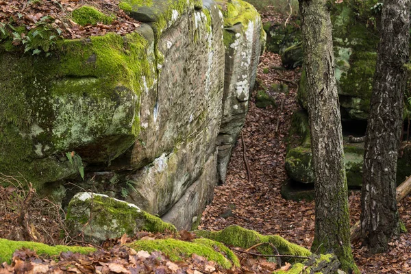 Landscape Sandstone Rock Formation Covered Leaves Forest Fall Season Poland — Stock Photo, Image