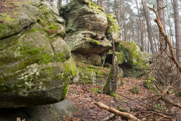 Mushroom Rock Formation Sandstones Covered Green Moss Middle Forest Autumn — Stock Photo, Image