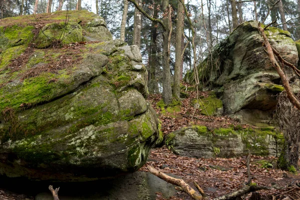 Formación Rocas Hongos Areniscas Cubiertas Musgo Verde Medio Del Bosque —  Fotos de Stock