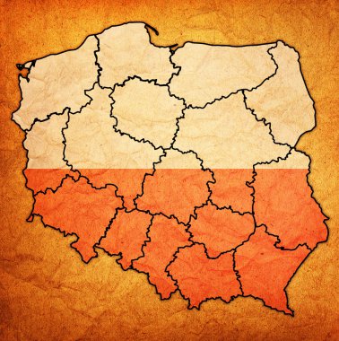 Polonya üst düzey idari birimleri