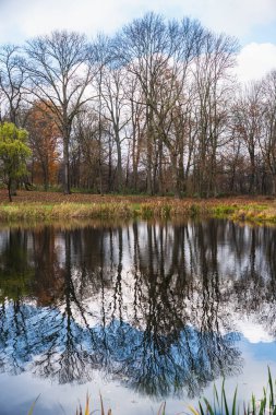 Yapraksız sonbahar ağaçları suya yansıyan bir manzara.