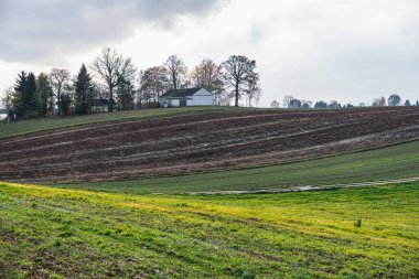 boş tarlalarla sonbahar manzarası ve mahsul olarak ekilen bitkiler