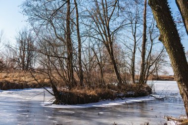 Ağaçlı manzara ve kışın donmuş bir göl.
