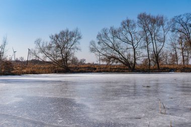 Ağaçlı manzara ve kışın donmuş bir göl.