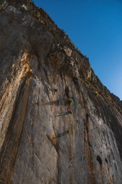 vertical wall photographed from the bottom of a rock cliff