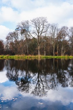 Yapraksız sonbahar ağaçları suya yansıyan bir manzara.