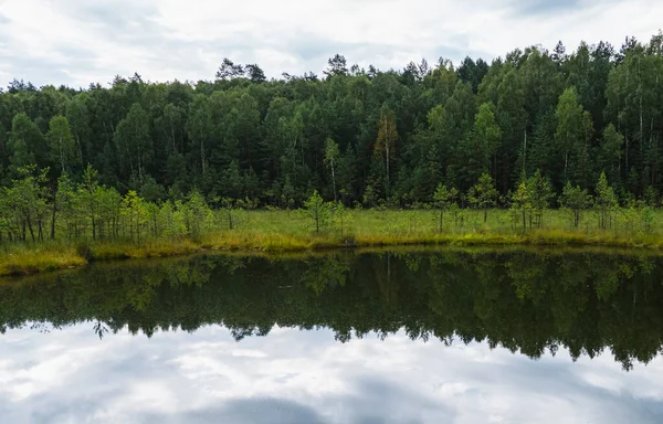 Yüzen paspası ve kozalaklı ormanı olan aşırı gelişmiş disrofik bir göl manzarası.