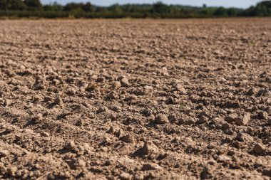 Yazın sonunda boş bir tarla manzarası