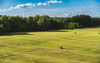 Belirli bir yükseklikten görünen çayırlık ve ağaçlarla çevrili bir arazi.
