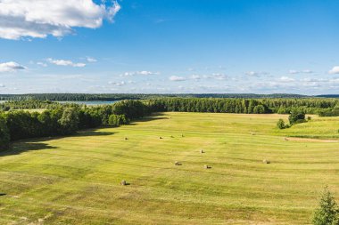 Belirli bir yükseklikten görünen çayırlık ve ağaçlarla çevrili bir arazi.