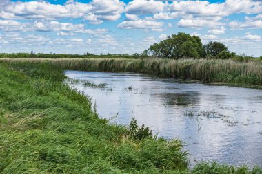 Yazın çayırlarda akan Biebrza Nehri 'nin manzarası