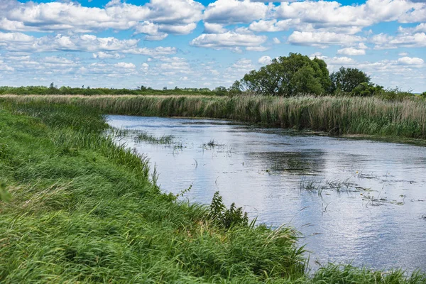Yazın çayırlarda akan Biebrza Nehri 'nin manzarası