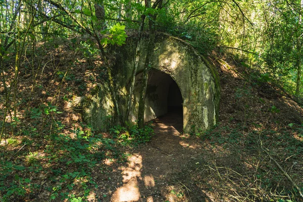 Ordu için tasarlanmış büyük beton istihkamların kalıntıları.