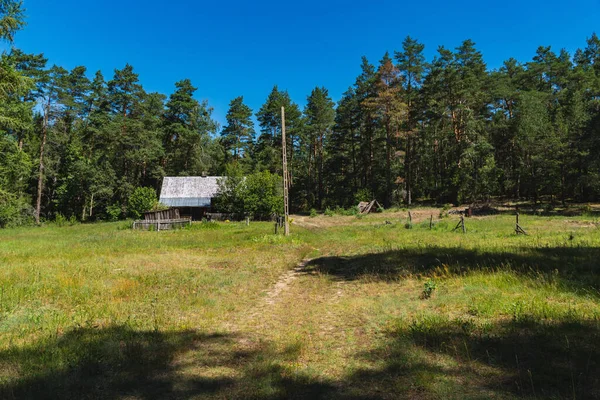 Ormanın ortasında terk edilmiş evler.