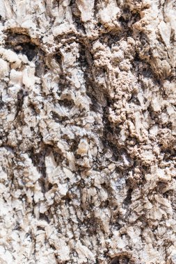Bir kayanın yüzeyindeki kristal alçıtaşının yakın çekimi