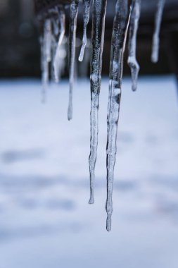 İlkbaharın başında eriyen buz saçaklarının yakın çekimi