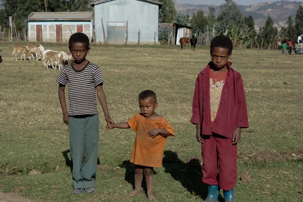 Kinderen in Ethiopië — Stockfoto