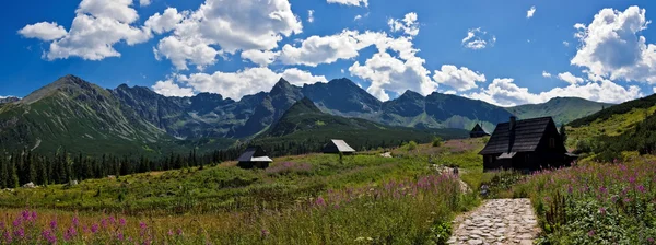 Panorama de montanhas de Tatra polonesas — Fotografia de Stock