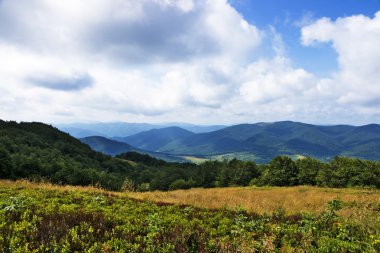 Lehçe yeşil dağların Karpatlar