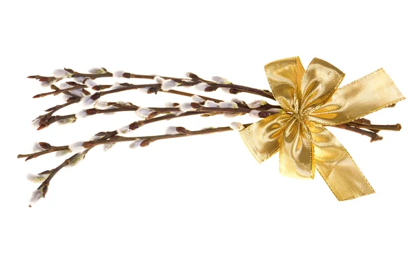 白い背景に分離されたゴールデン リボンとイースター パーム尾状花序 — ストック写真