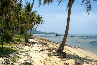 Tropik bir plajda palmiye ağaçları olan bir manzara. Phu Quoc Adası, Vietnam