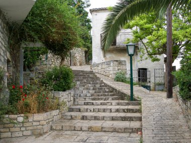 Sıcak bir yer. Kasandra yarımadasındaki Afitos kasabası, Yunanistan
