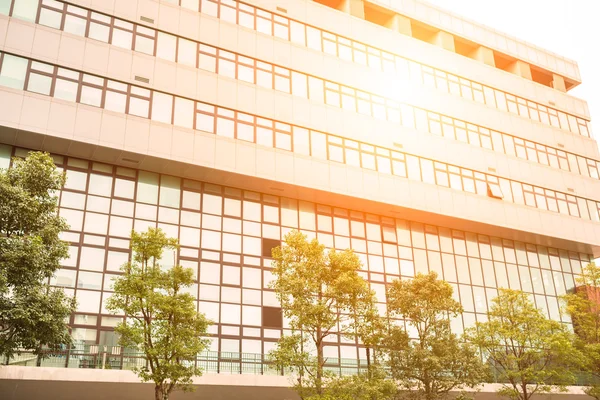 Office building with glass windows — Stock Photo, Image