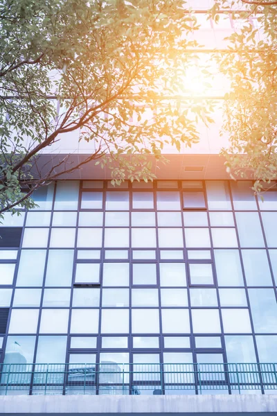 Bürogebäude mit Glasfenstern — Stockfoto