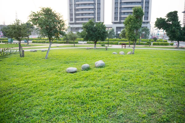 城市绿色空间，住宅建筑 — 图库照片