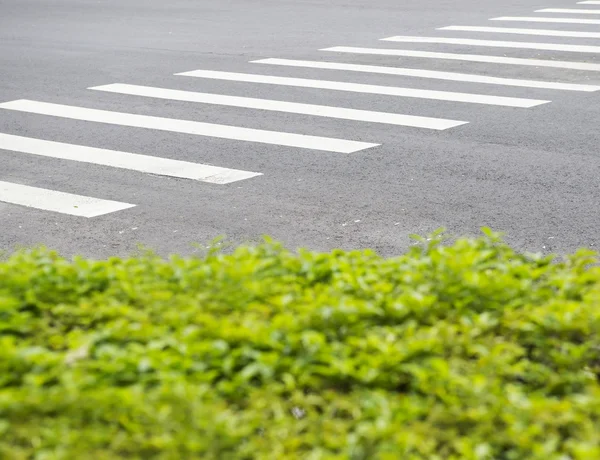 Pedestrian crossing on a road — Stock Photo, Image