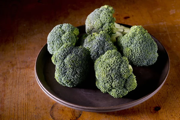 Fresh broccoli in plate — Stock Photo, Image