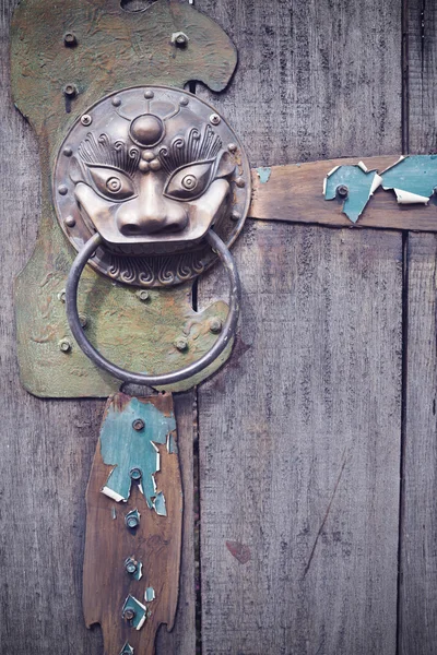 A brass lionhead knocker on an old gate — Stock Photo, Image