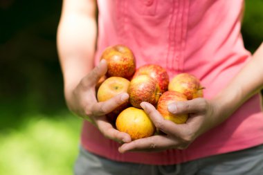Elma her iki elinde tutan kadın